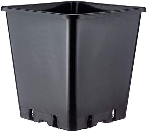 Square Black Plastic Pots 2 Litre