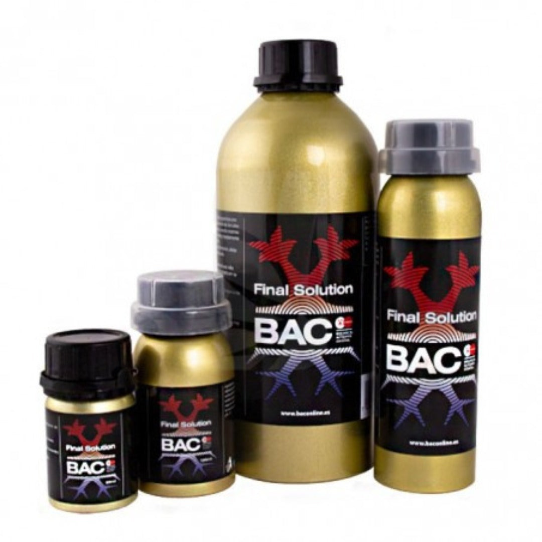 BAC - Final Solution - 1L