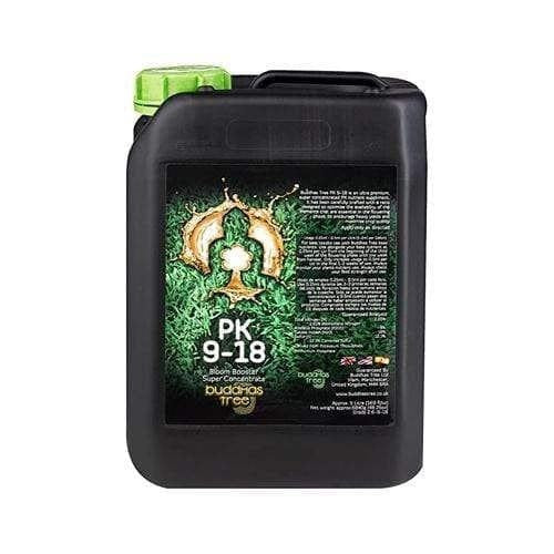 Buddhas Tree PK 9-18 - 5L