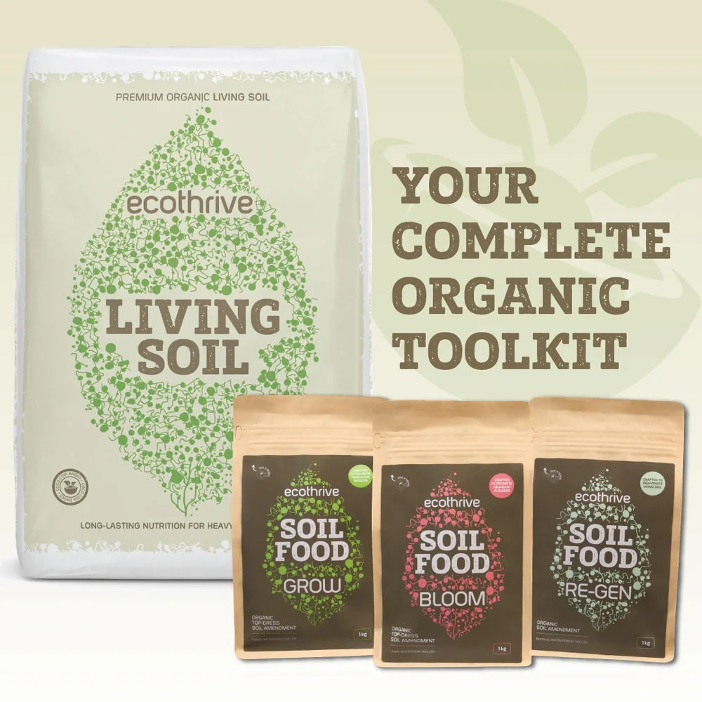 Ecothrive Living Soil 40L - Premium Organic Soil - Living Soil + 1kg of Soil Food Grow & Bloom & Regen