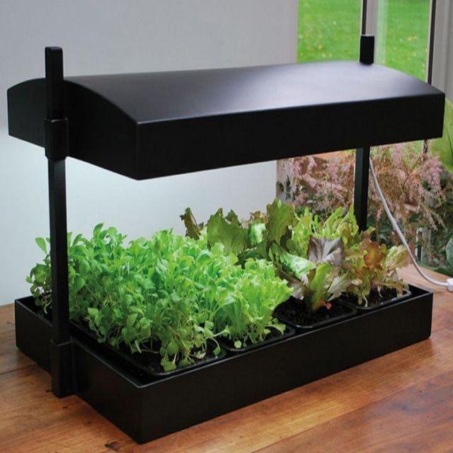 Garland Micro Grow Light Garden B