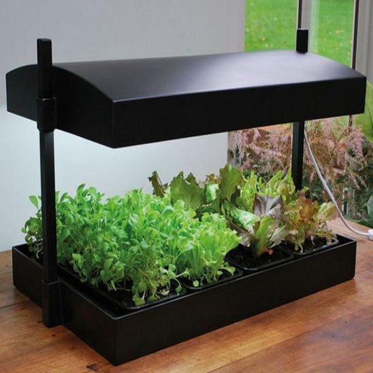 Garland Micro Grow Light Garden B