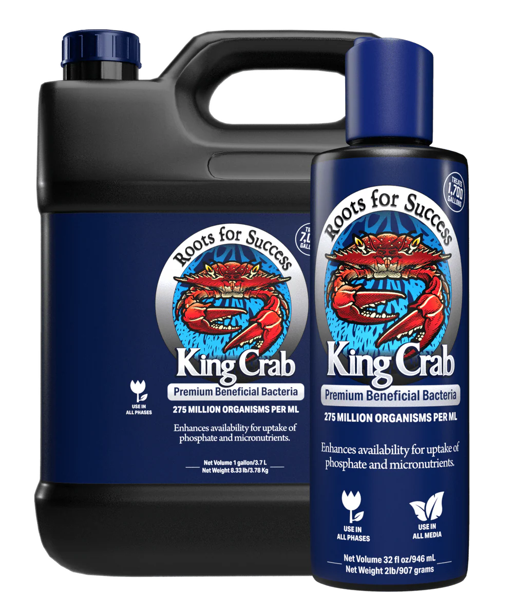 King Crab Premium Bacterial Liquid 1L