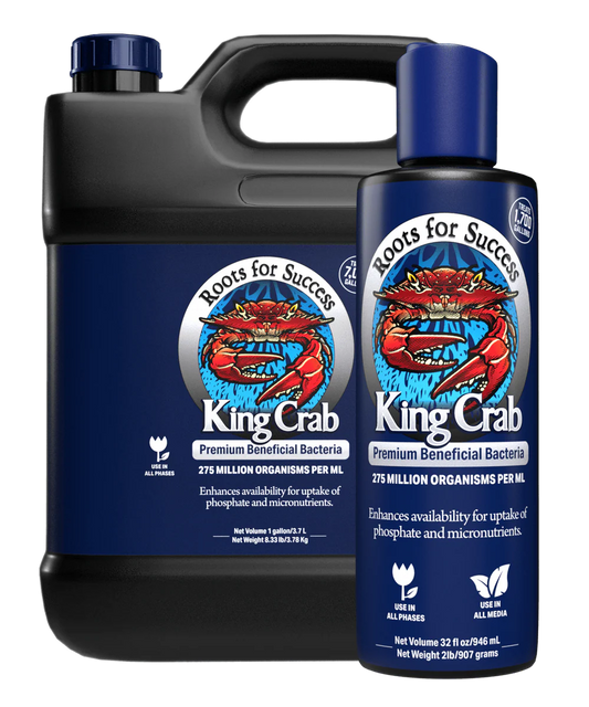 King Crab Premium Bacterial Liquid 1L