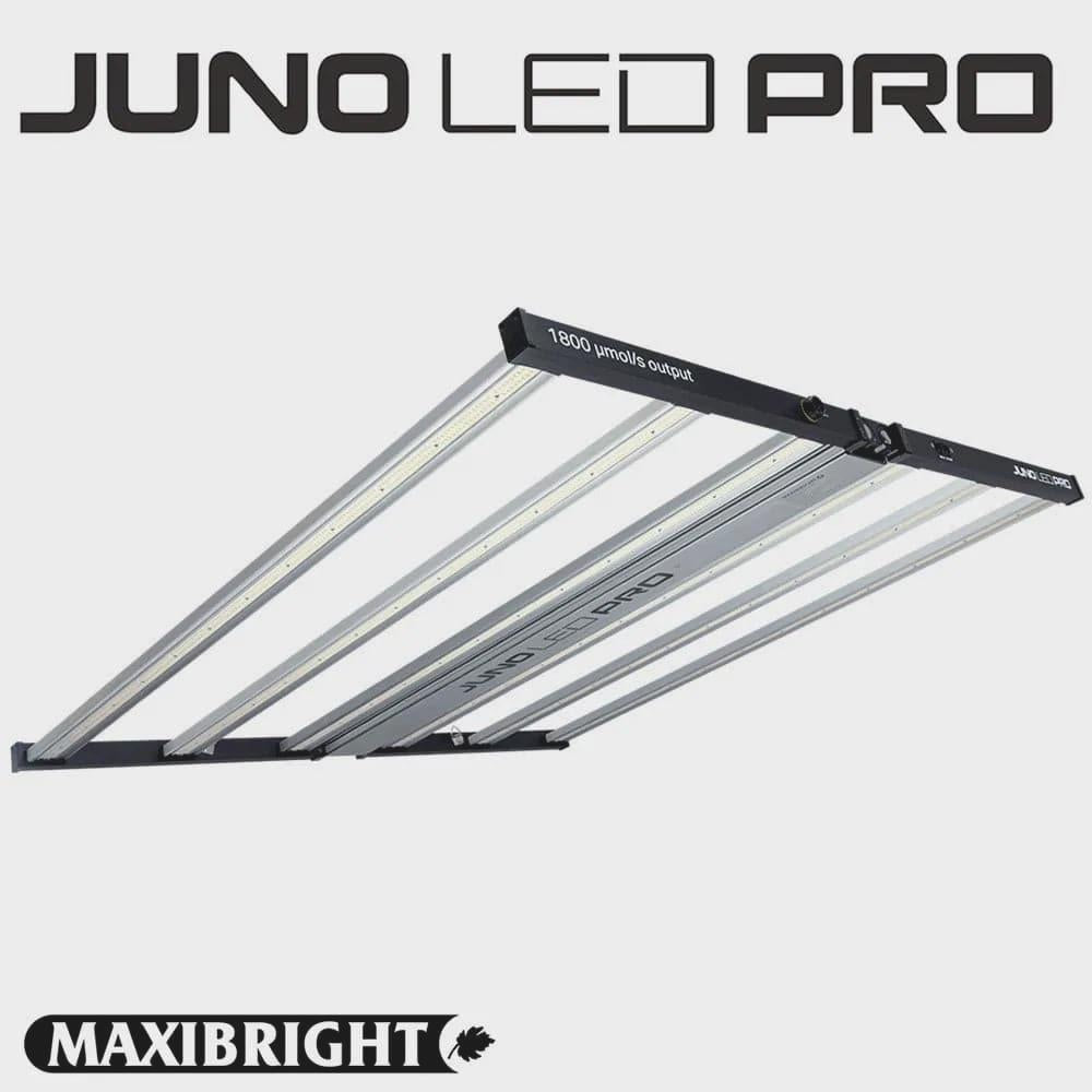 Maxibright Juno 720w LED Grow Light