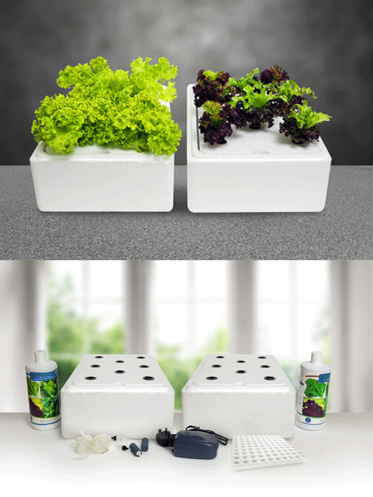 Nutrient Box 27 x 32 x 30cm