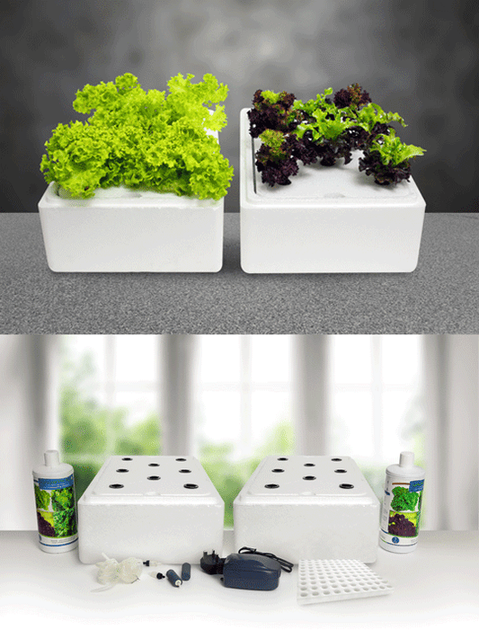 Nutrient Box 27 x 32 x 30cm
