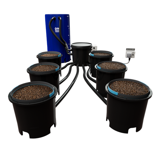IWS TRIDENT 25l 40 POT SYSTEM WITH AUTO DRAIN