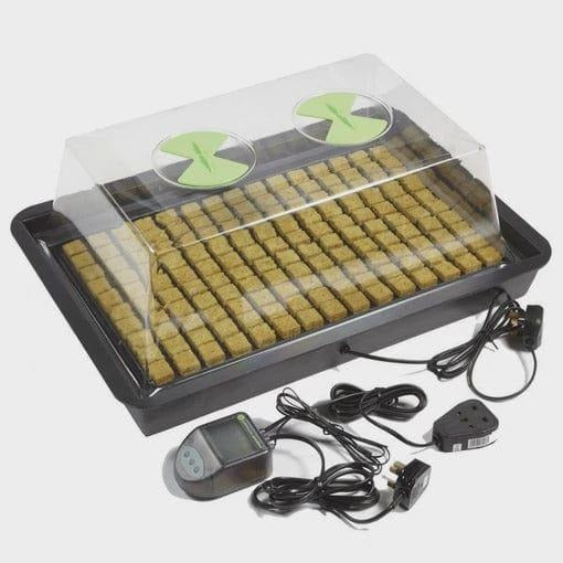 X-stream Small Heated Propagator with Thermostat