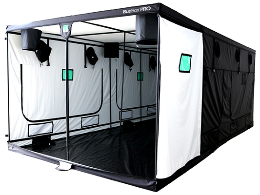 Budbox Pro 6.0m x 3.0 x 2.2 T6 White