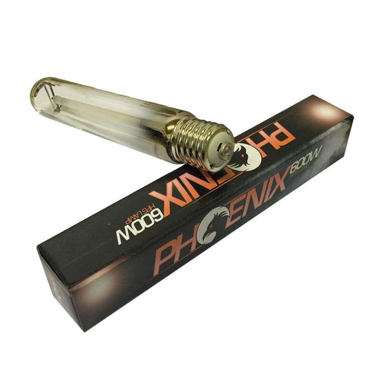 Phoenix - 600 Watt Bulb (Dual Spe