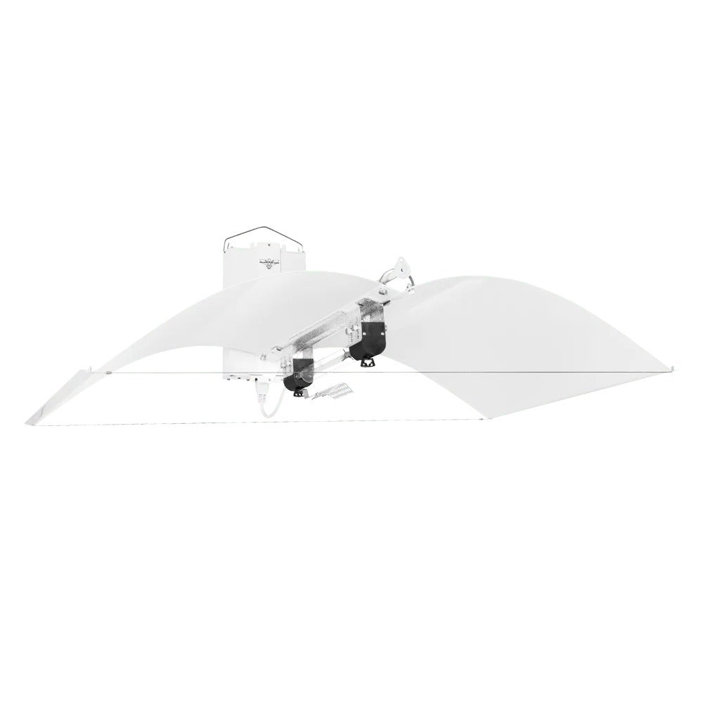 1000w DE-HPS Hellion Lighting System