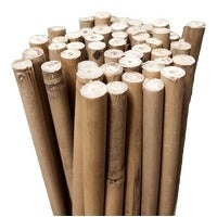 6' Bamboo Stakes (182cm) - Pack of 25