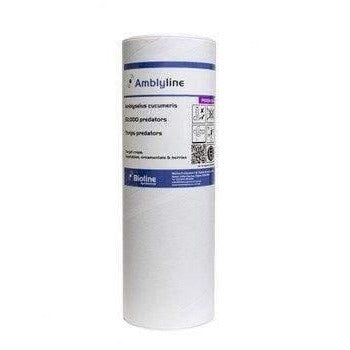 Amblyseius Cucumeris - 50,000 Predators 1Ltr Tube for Thrips (FGTHC)