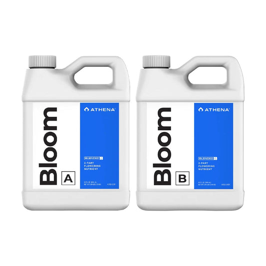 Athena Blended Bloom AB - 32oz / 0.94L