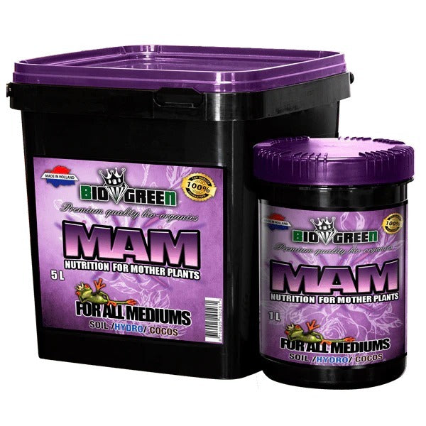 Biogreen - MAM - 1KG