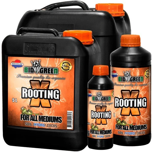 Biogreen - X-Rooting - 5L