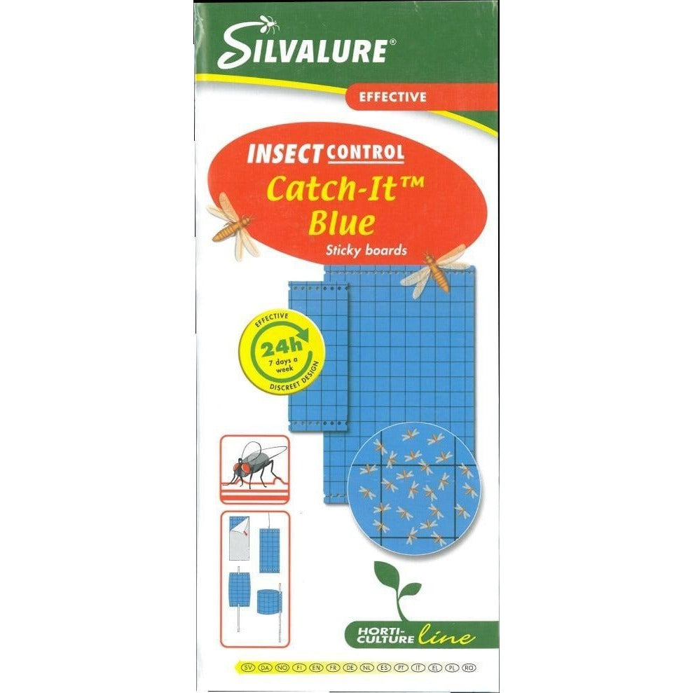 Blue Sticky Traps Insect Catcher (Pack Of 20)