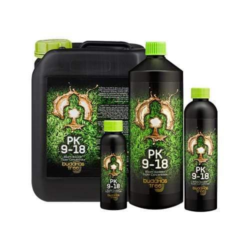 Buddhas Tree PK 9 18