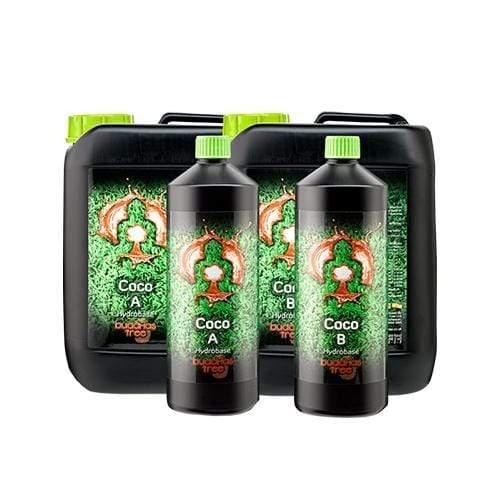Buddhas Tree Coco AB - 10L