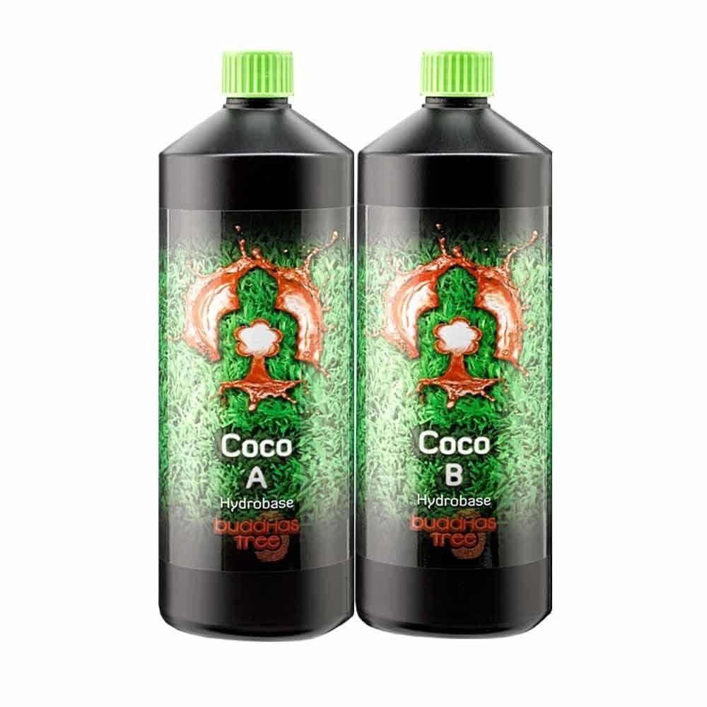 Buddhas Tree Coco AB - 1L