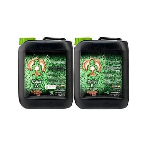 Buddhas Tree Coco AB - 5L