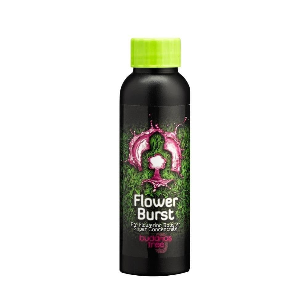 Buddhas Tree Flower Burst - 250ml