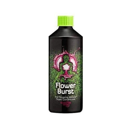 Buddhas Tree Flower Burst - 500ml