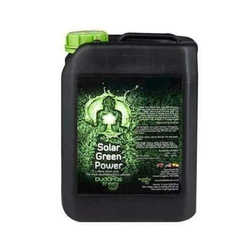 Buddhas Tree Solar Green Power - 5L