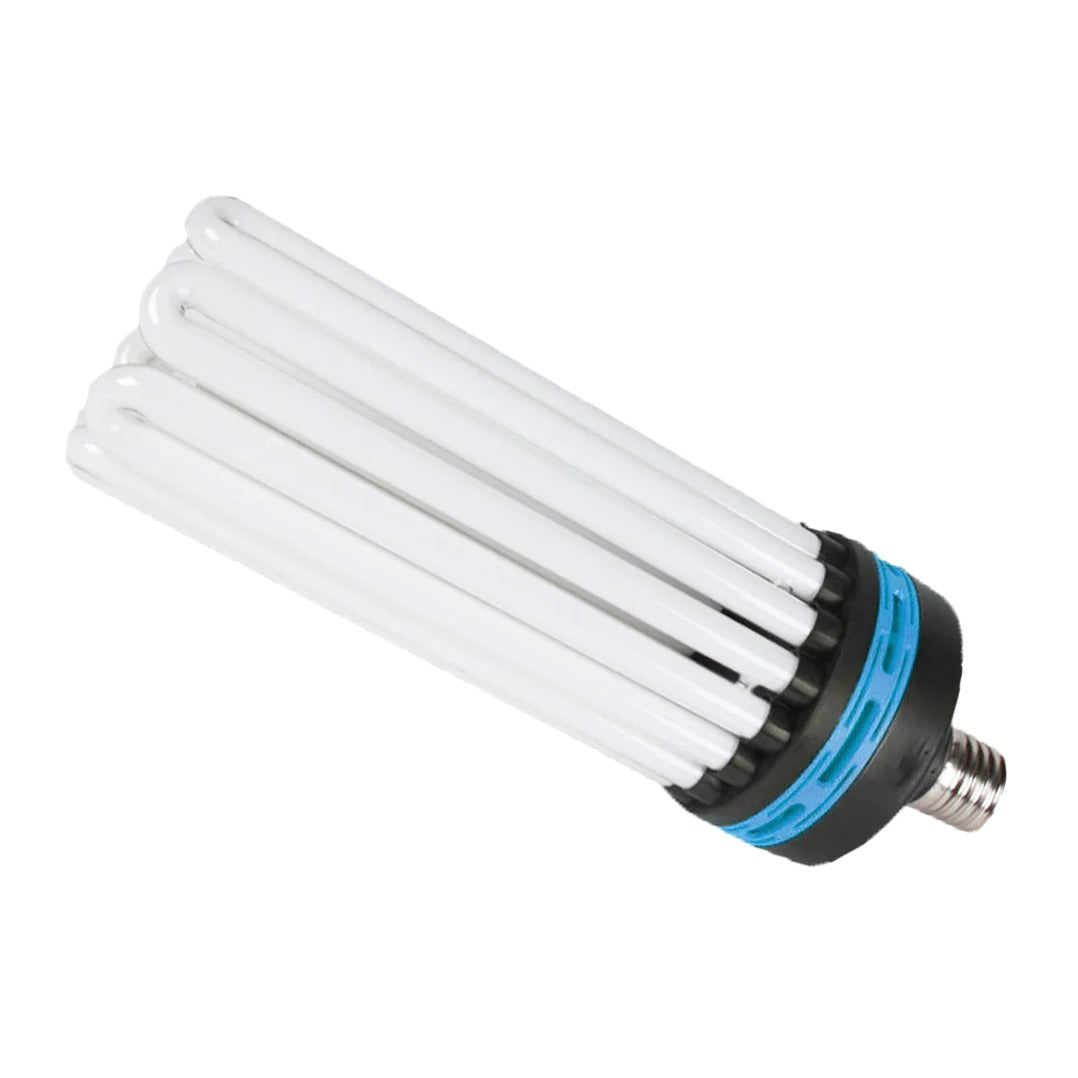 CFL Lamp - Blue / 300w