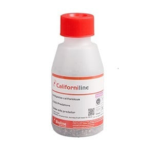 Californiline - Spider Mite Predators - 2,000 (FGCAL)