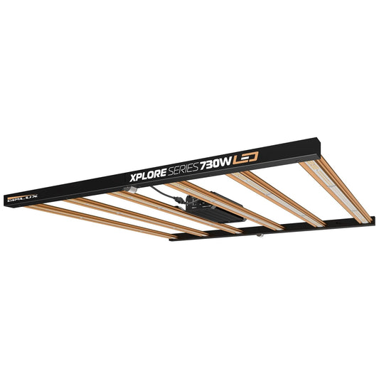 DimLux Xplore Series LED - 730w