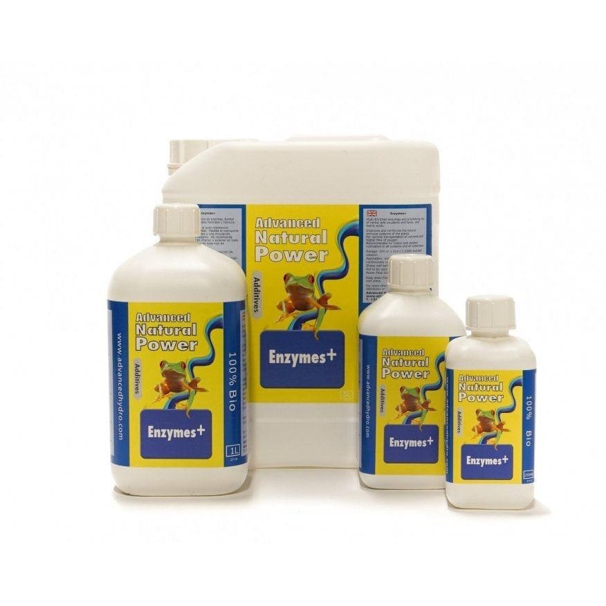 Dutch Formula Enzyme+ - 500ml
