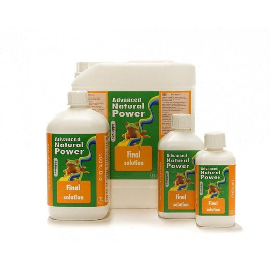 Dutch Formula Final Solution - 500ml