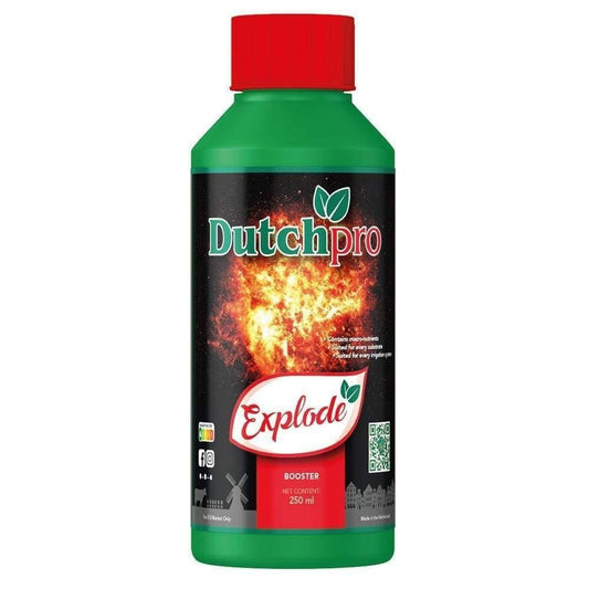 Dutch Pro Explode - 250ml