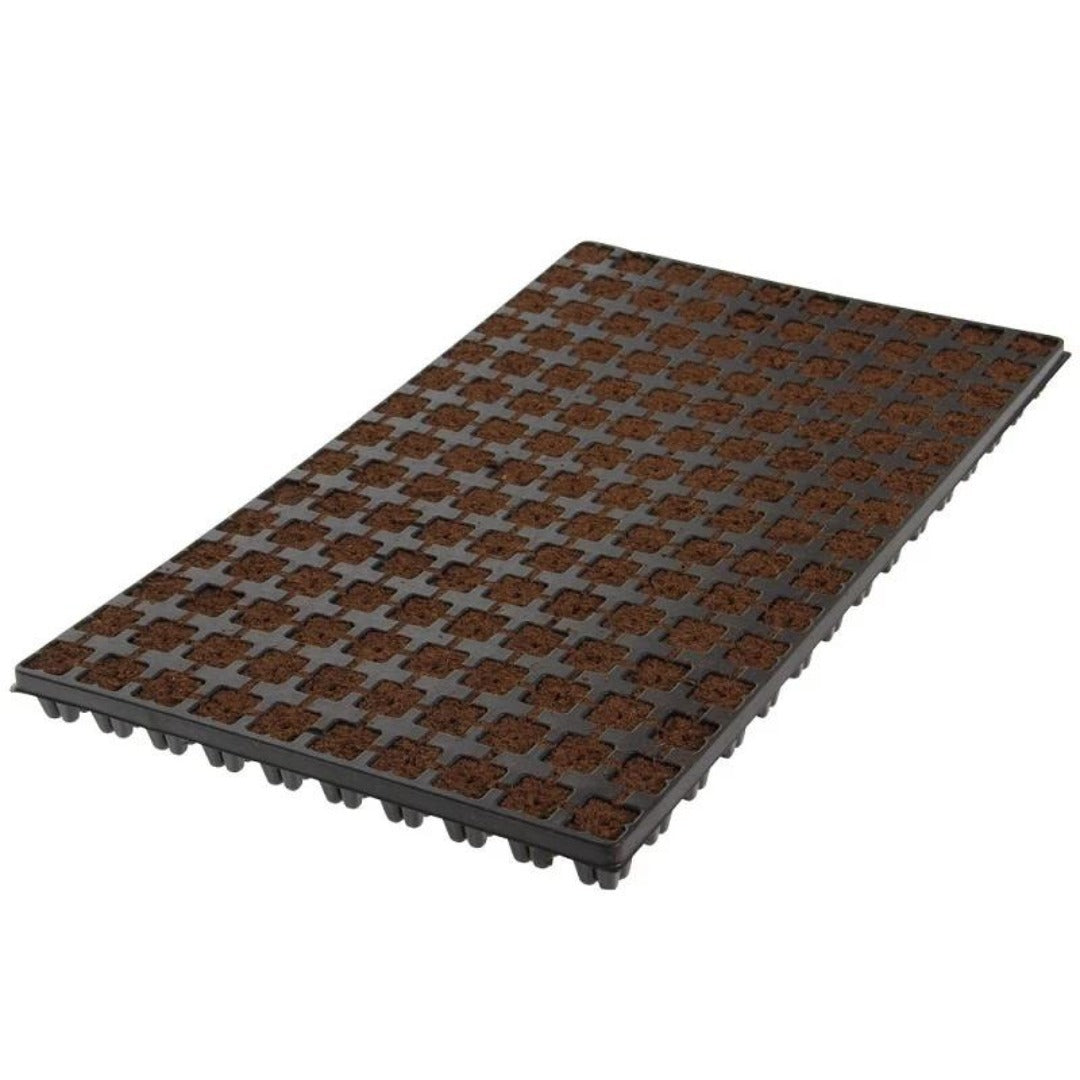 Eazy Plug Organic Propagation Cubes - Tray of 150 (smaller cubes) / Single Trays