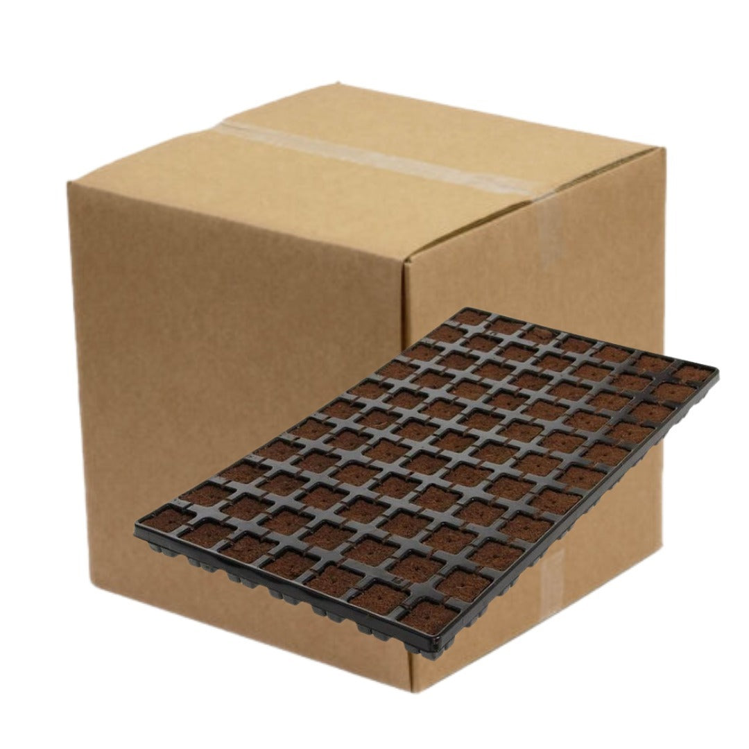 Eazy Plug Organic Propagation Cubes - Tray of 77 / Box Quantity (10 Trays)