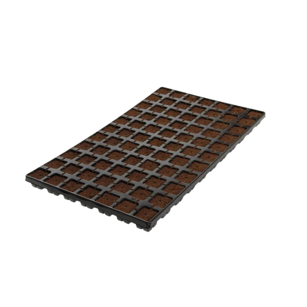 Eazy Plug Organic Propagation Cubes - Tray of 77 / Single Trays