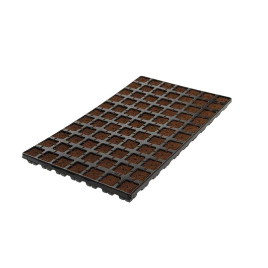 Eazy Plug Organic Propagation Cubes - Tray of 77 / Single Trays
