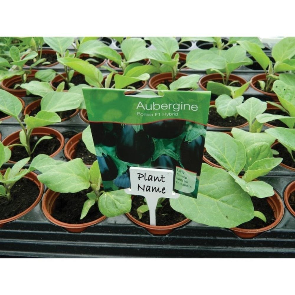 Garland White Tee Labels - Pack of 10