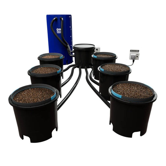 IWS Trident Flood & Drain System - 6 Plants / 16L
