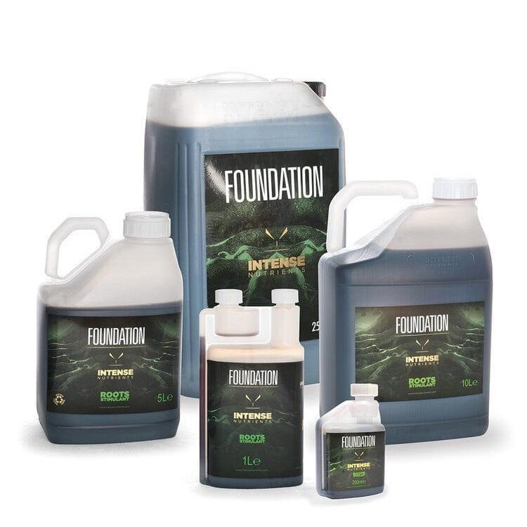 Intense Nutrients Foundation - 1L