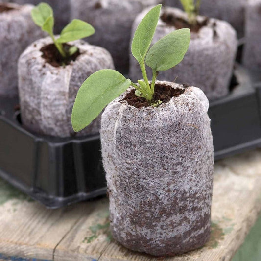 Jiffy Peat Pellets - 50 Singles