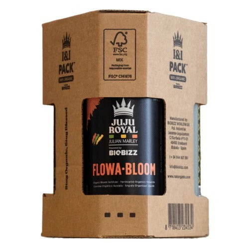 Juju Royal - I & I Starter Pack