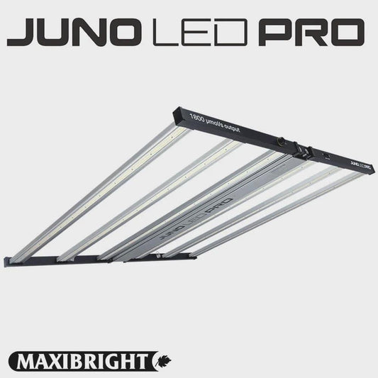 Maxibright Juno 720w LED Grow Light