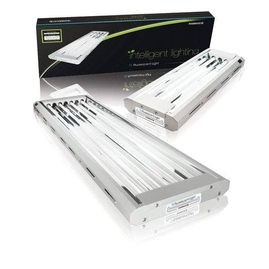 Maxibright T5 Fluorescent Light - 48w - 2ft / 2 Tube