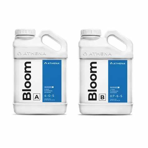 Athena Bloom A&B (Blended) - 3.79L