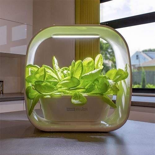 PLANT!T Herb Garden