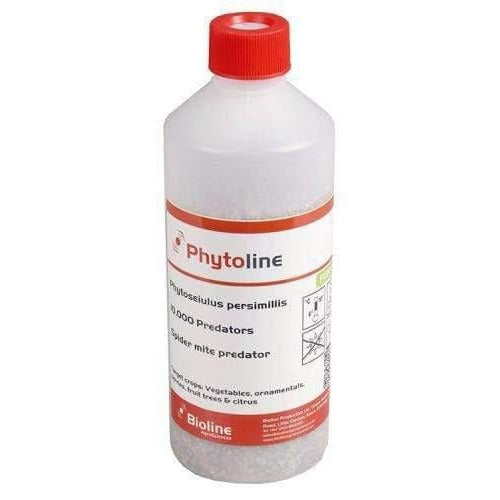 Phytoline - Spider Mite Predators - 10,000 Mites (FGMII)