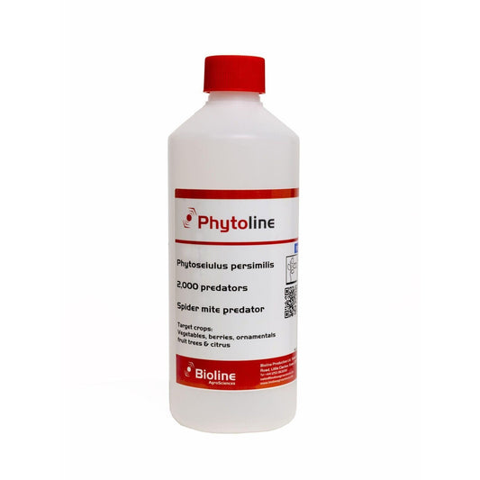 Phytoline - Spider Mite Predators - 2,000 Mites (FGMIT)
